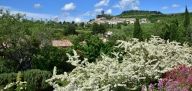 Au printemps les fleurs s'expriment à la Maison de Malory